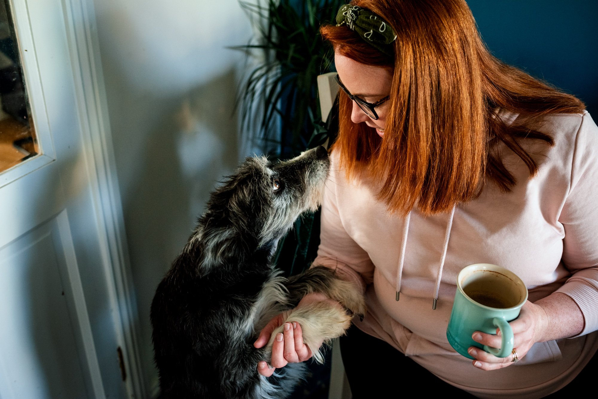 Pet Photography in Dublin That Tells a Story